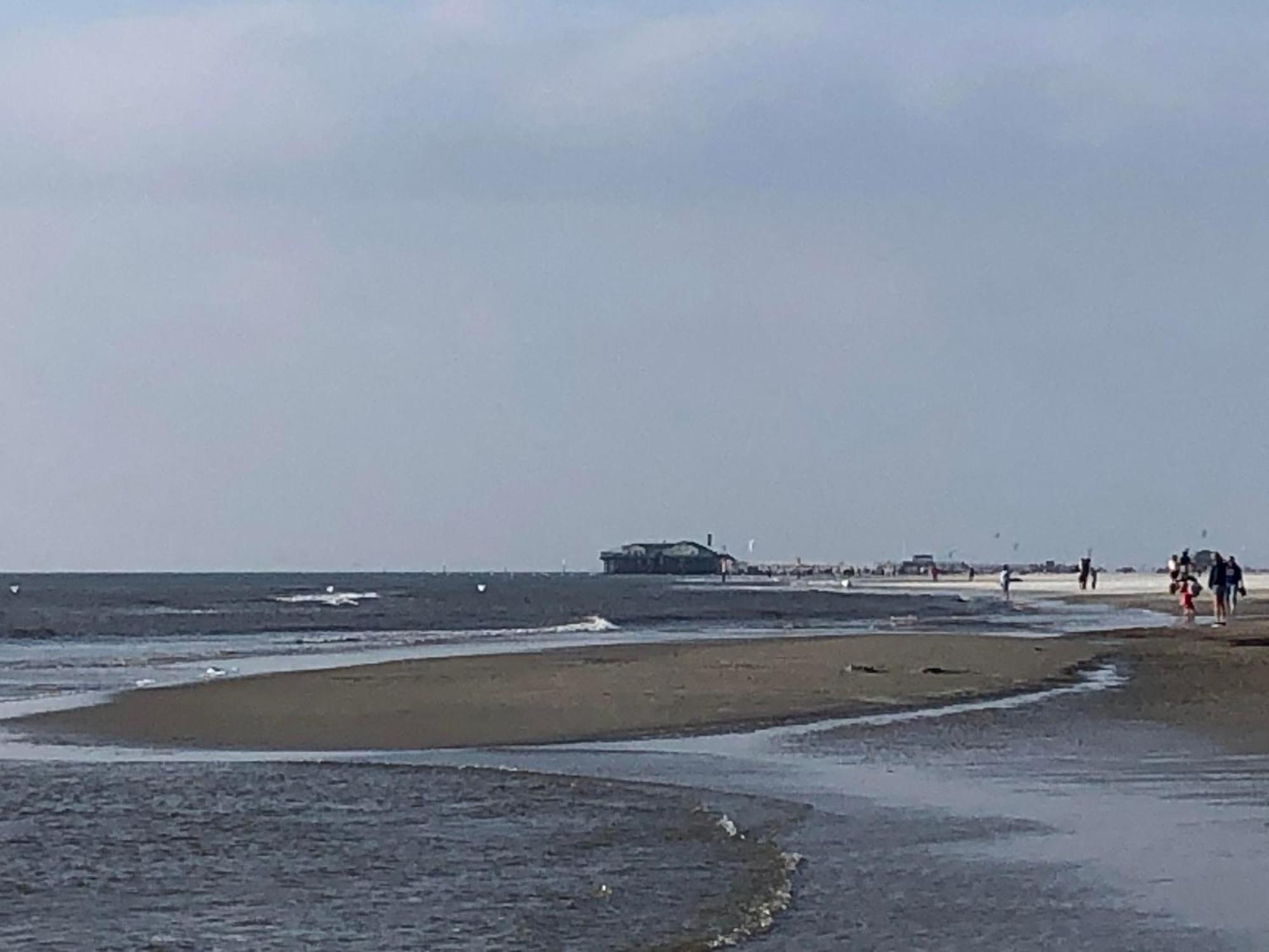Haubarg Alte Strandvogtei 韦斯特雷费尔 外观 照片
