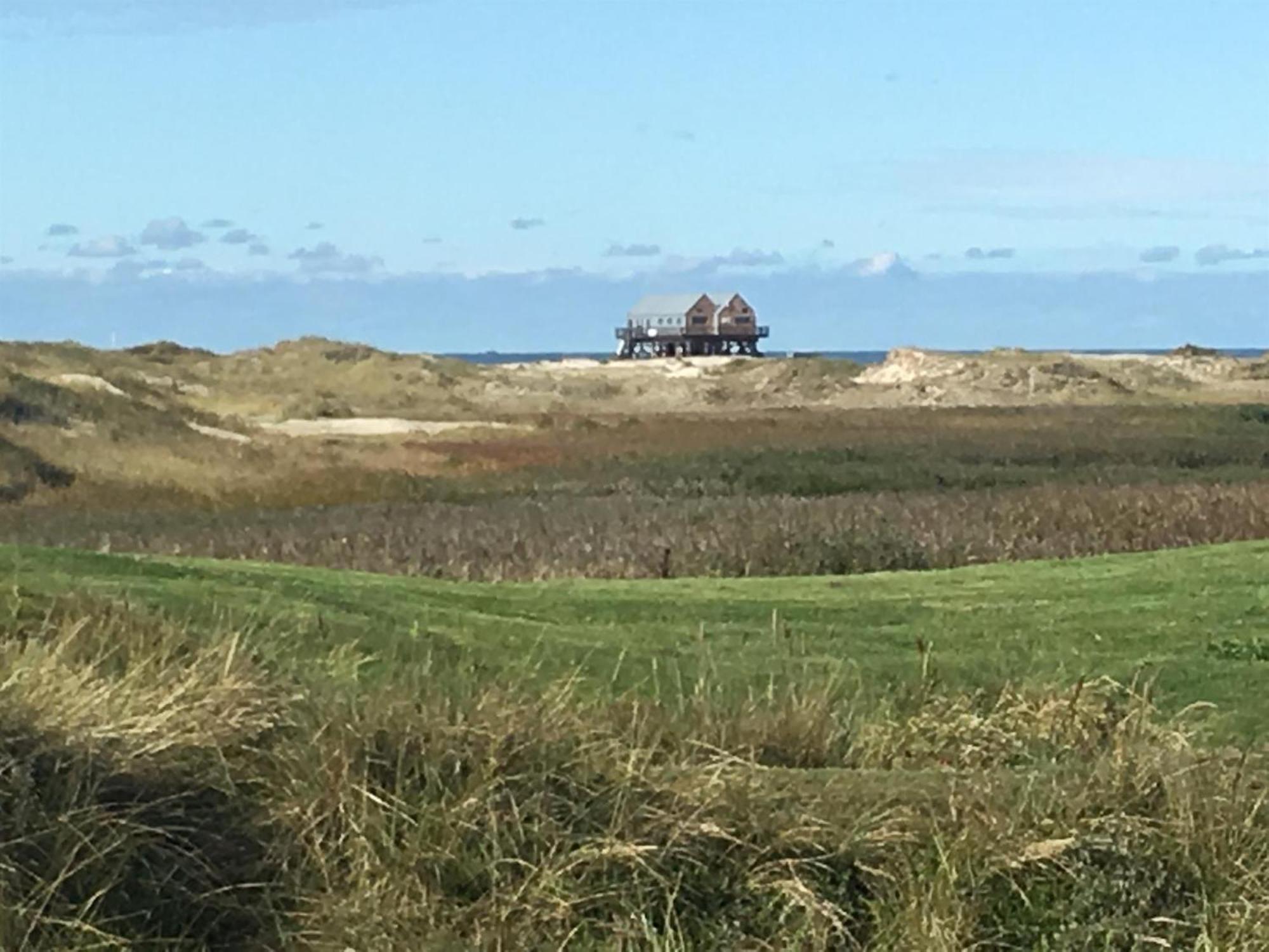 Haubarg Alte Strandvogtei 韦斯特雷费尔 外观 照片