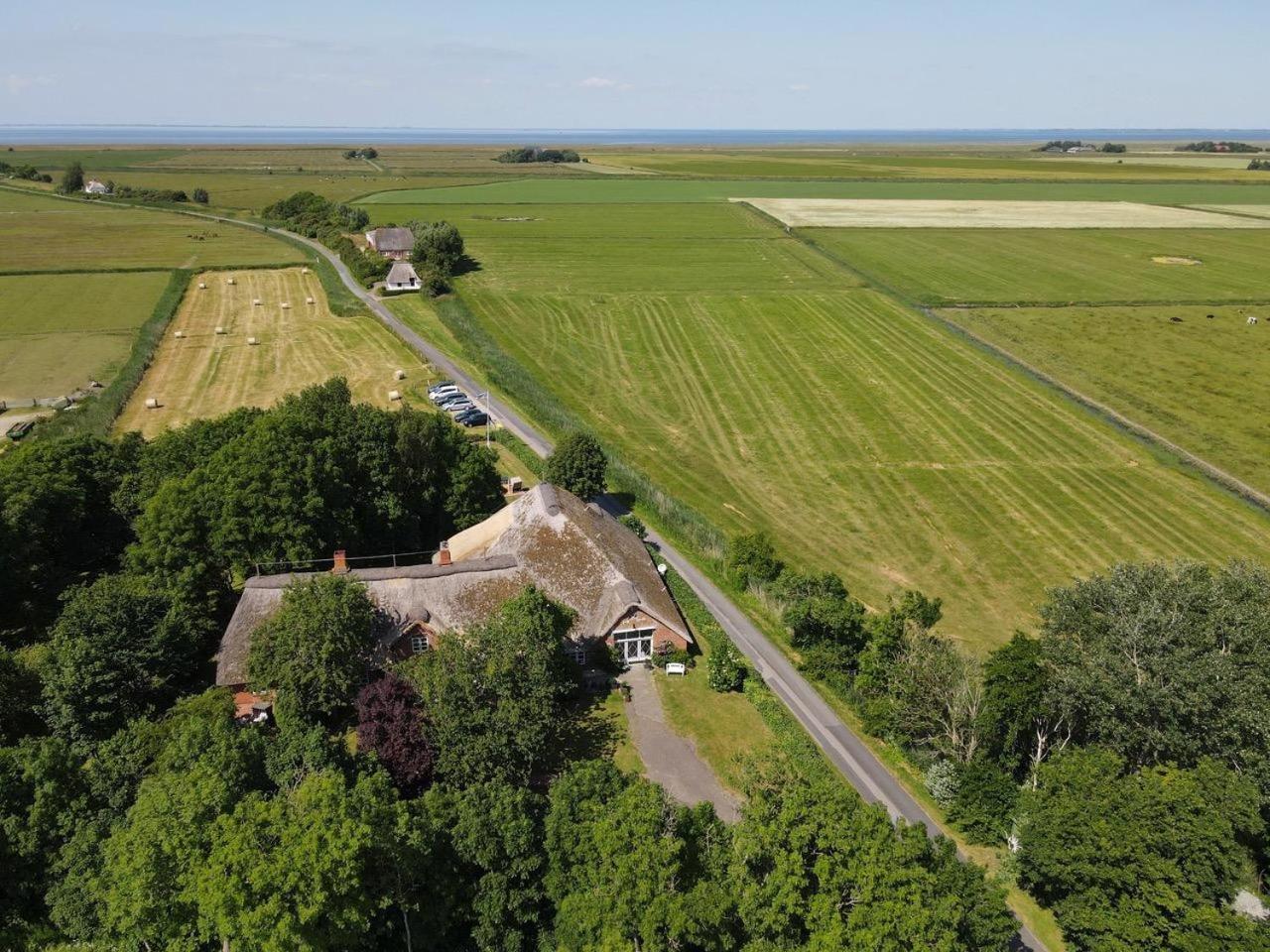 Haubarg Alte Strandvogtei 韦斯特雷费尔 外观 照片